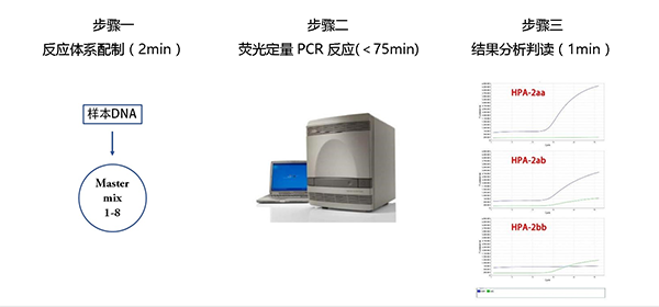 HPA分型流程图网站用