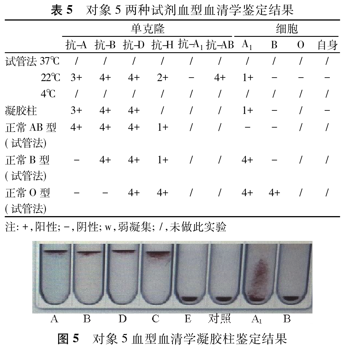 微信图片_20230522153613